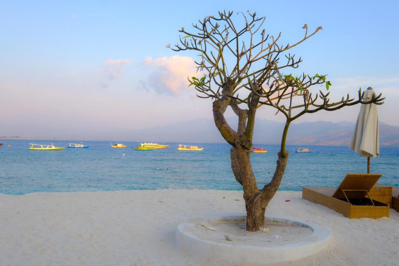 Oyo 1425 Beach Wind Bungalows Τζίλι Τραγουανγκάν Εξωτερικό φωτογραφία